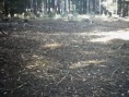 /album/fotogalerie1/phto0003-jpg/